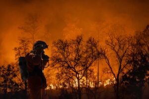 Fireman fighting brush fires.